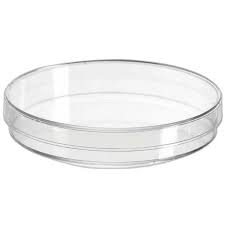 PETRI DISH 55MM GLASS