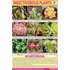 CHART INSECTIVOROUS IN PLANTS
