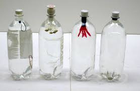 CARTESIAN DIVERS
