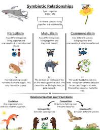 CHART SYMBIOTIC INTERACTION