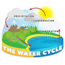 CHART WATER CYCLE