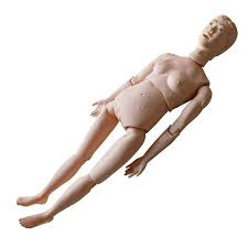MODEL MANNEQUIN FEMALE FOR TEACHING IN NURSING SCHOOL