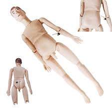MODEL MANNEQUIN MALE FOR TEACHING IN NURSING SCHOOL