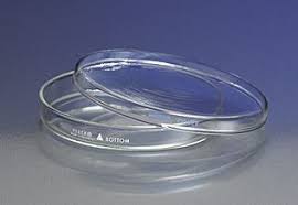 PETRI DISH 100X20MM (PYREX)