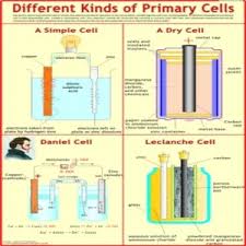 CHART PART OF PRIMARY CELL