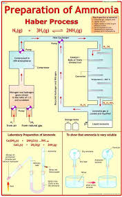 CHART PREPARATION OF AMMONIA