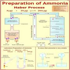 CHART PREPARATION OF AMMONIA BT HABER PROCESS 75X100CM